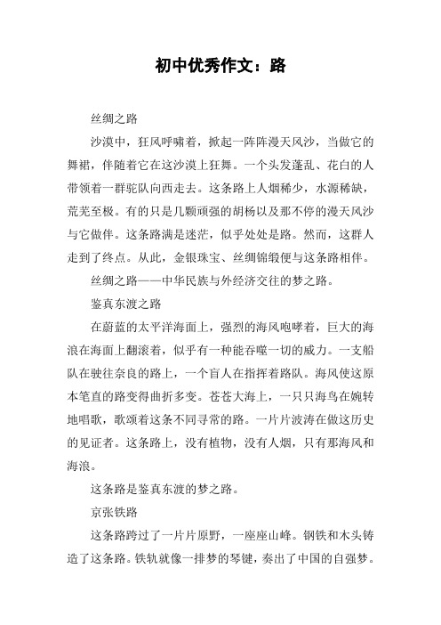 初中优秀作文:路