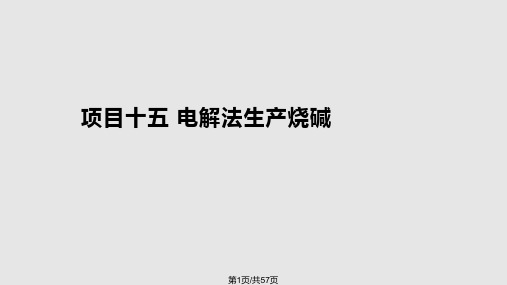 项目十五电解法生产烧碱PPT课件