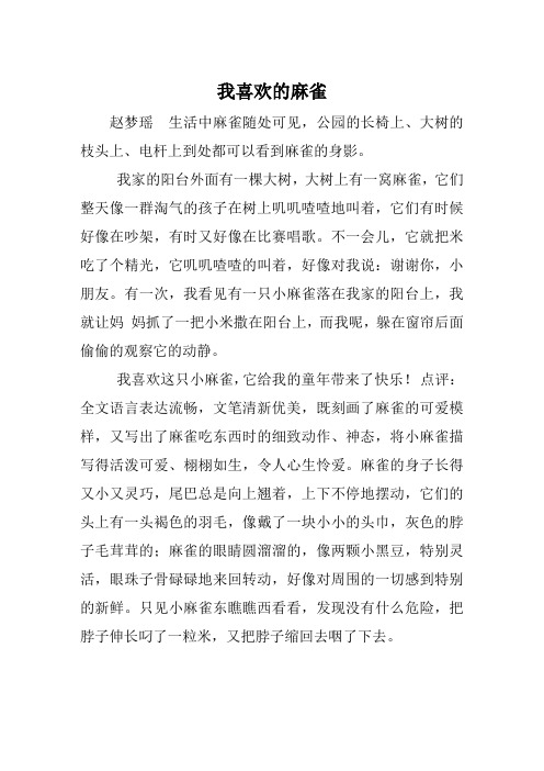 我喜欢的麻雀