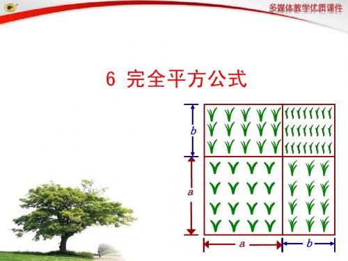 6 完全平方公式