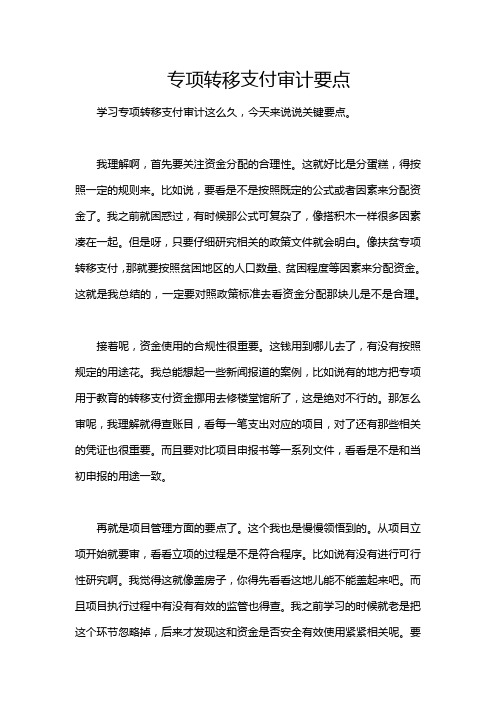 专项转移支付审计要点