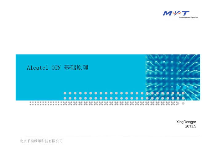 Alcatel OTN 原理基础