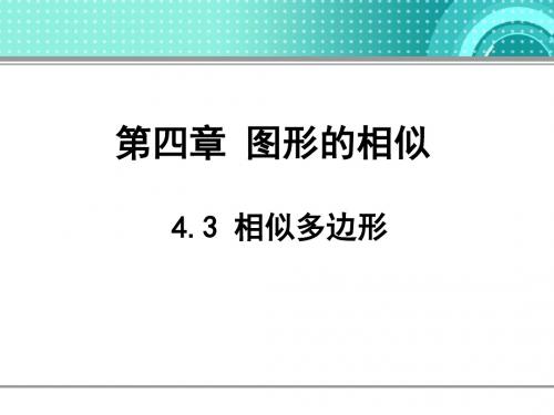 新北师大九年级上4.3相似多边形