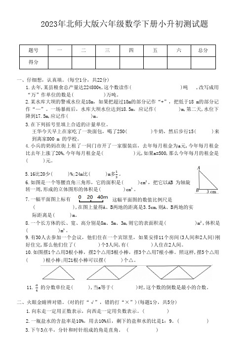 2023年北师大版六年级数学下册小升初测试题含答案