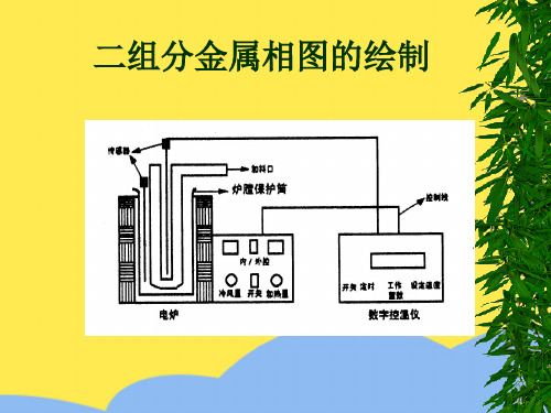 二组分金属相图的绘制标准版文档