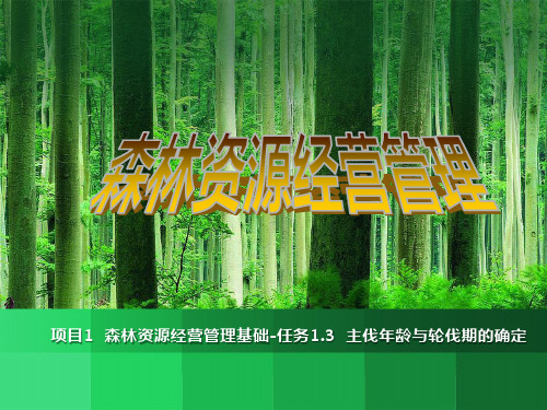 森林资源经营管理基础 主伐年龄与轮伐期确定