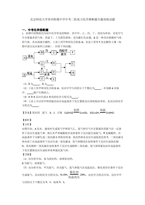 北京师范大学常州附属中学中考二轮复习化学推断题专题训练试题