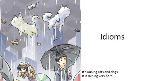 Idioms 俚语