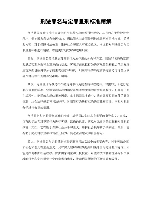 刑法罪名与定罪量刑标准精解