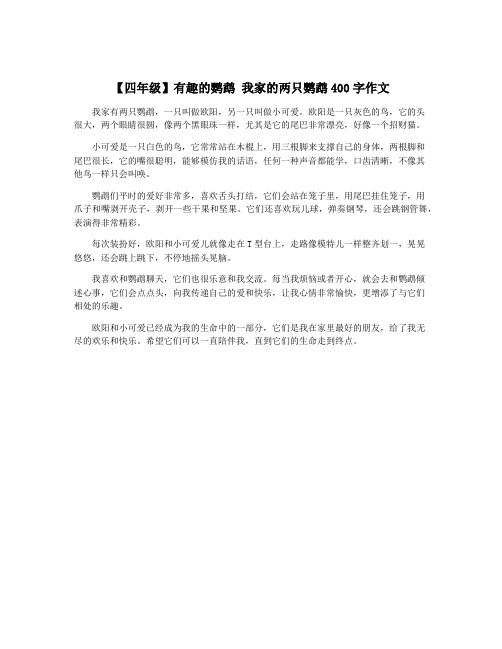 【四年级】有趣的鹦鹉 我家的两只鹦鹉400字作文