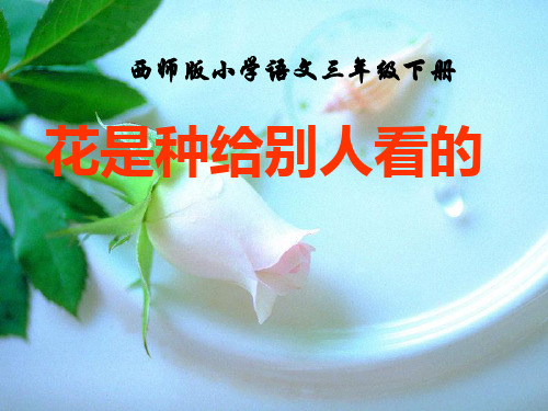 (赛课课件)三年级下册语文《花是种给别人看的》 (共51张PPT)
