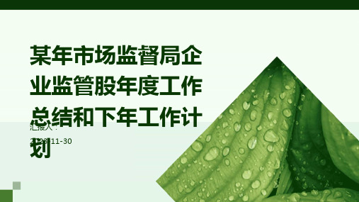 某年市场监督局企业监管股年度工作总结和下年工作计划