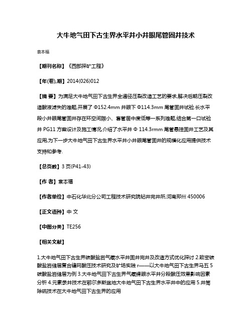 大牛地气田下古生界水平井小井眼尾管固井技术