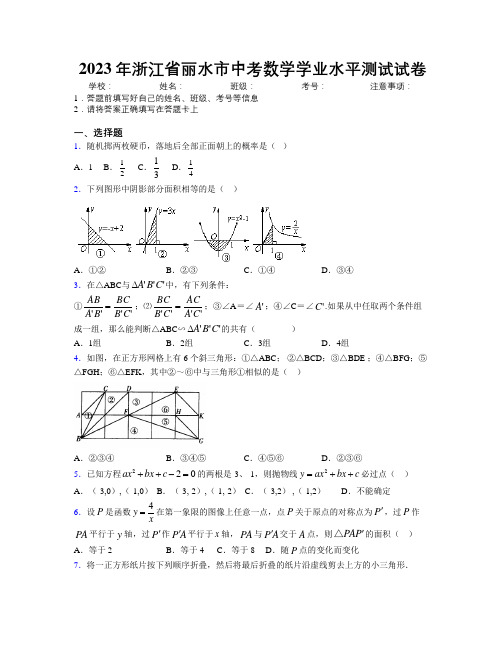 2023年浙江省丽水市中考数学学业水平测试试卷附解析