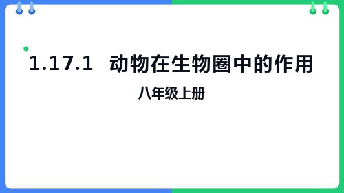 北师大版八年级生物上册《动物在生物圈中的作用》PPT精品教学课件