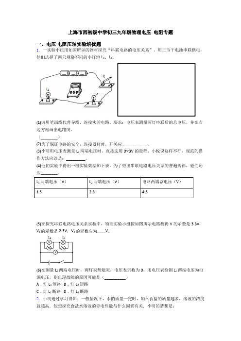 上海市西初级中学初三九年级物理电压 电阻专题