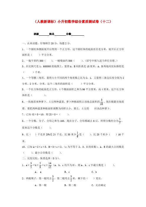 六年级数学 小升初综合素质测试卷(十二)人教新课标版