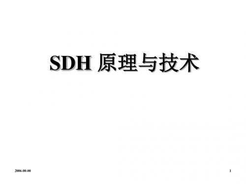 1SDH原理与技术-201页PPT精品文档