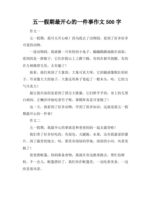 五一假期最开心的一件事作文500字