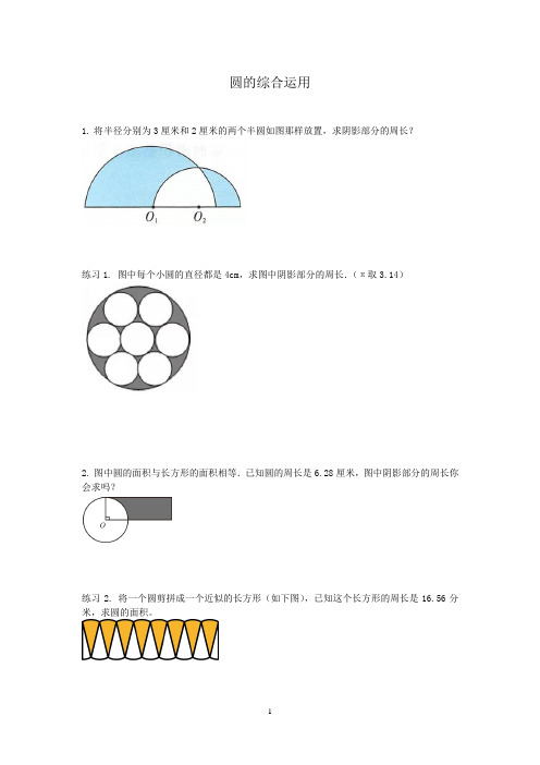 圆的综合运用(综合练习)人教版六年级上册数学