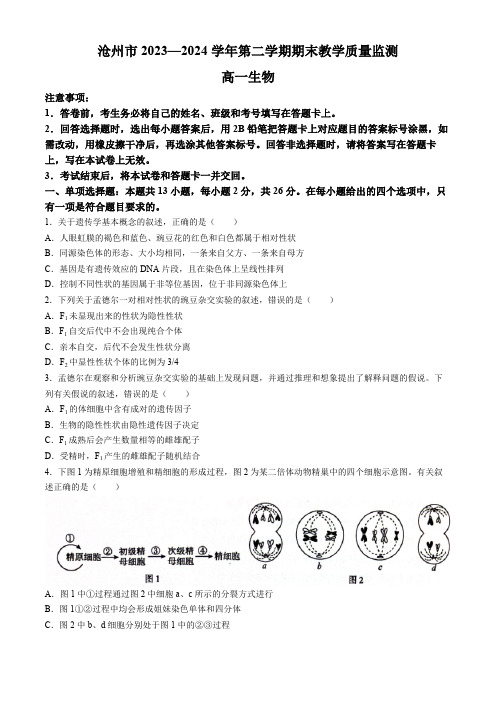 河北省沧州市2023-2024学年高一下学期7月期末教学质量监测生物试题(含解析)