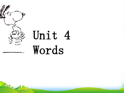 新牛津深圳版八年级英语下册《Unit 4 Words》优质课件(共40张PPT)