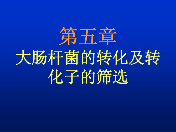 大肠杆菌的转化及转化子的筛选