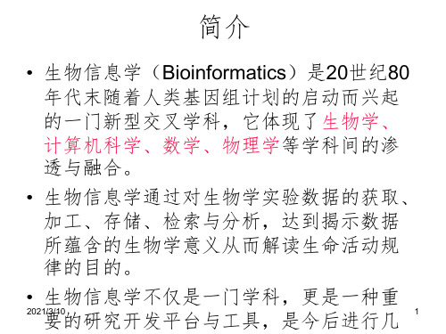 生物信息学课件PPT