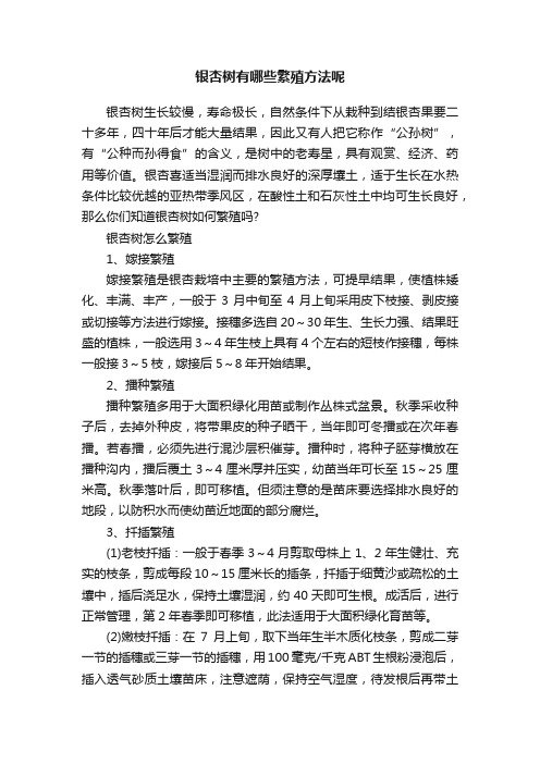 银杏树有哪些繁殖方法呢