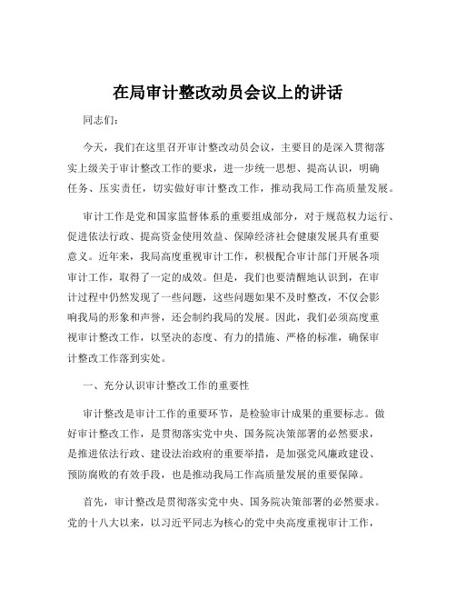 在局审计整改动员会议上的讲话