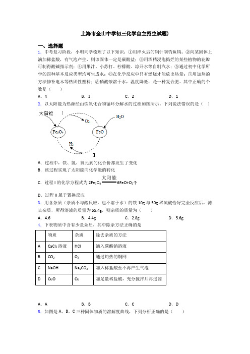 上海市金山中学初三化学自主招生试题)