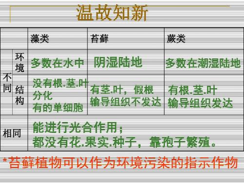 人教版七年级上册生物3.1.2.种子植物 (共62张PPT)