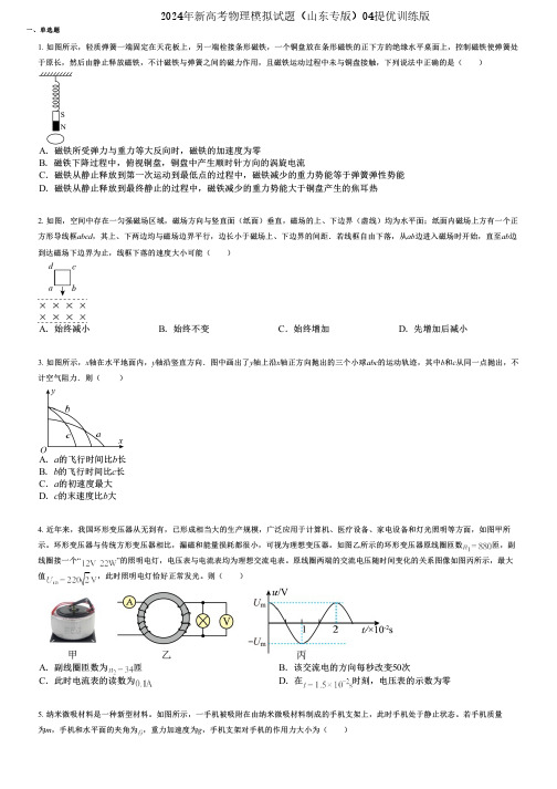 2024年新高考物理模拟试题(山东专版)04提优训练版