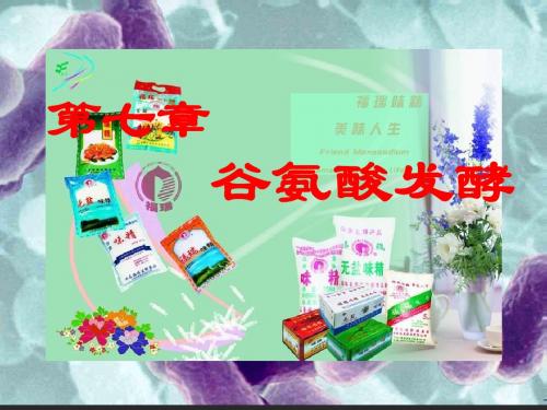 上海大学 生物工艺学第7章  谷氨酸发酵