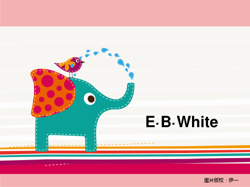 ebwhite EB怀特介绍