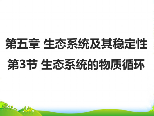 人教版高中生物必修三课件：5.3 生态系统的物质循环 (共25张PPT)