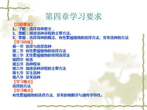 选择育种PPT课件