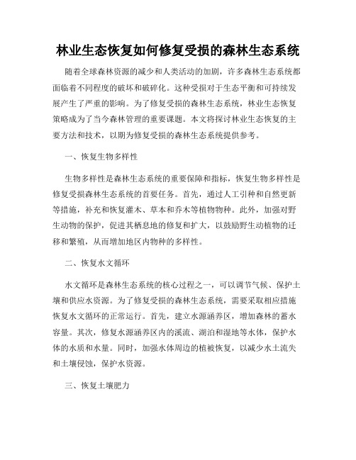 林业生态恢复如何修复受损的森林生态系统