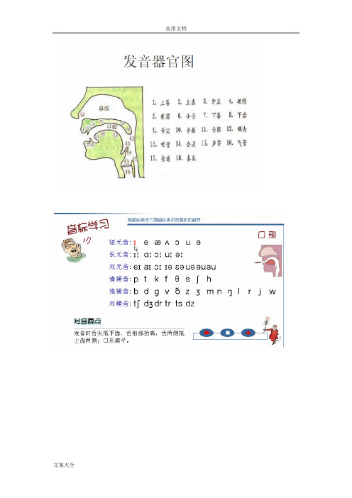 英语国际音标发音口型_舌位一览表