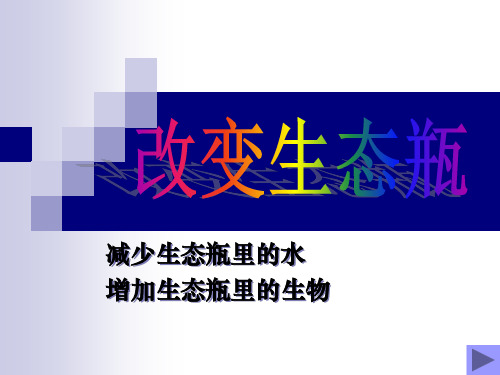 《改变生态瓶》生物与环境PPT课件二