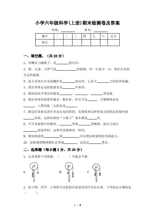 小学六年级科学(上册)期末检测卷及答案