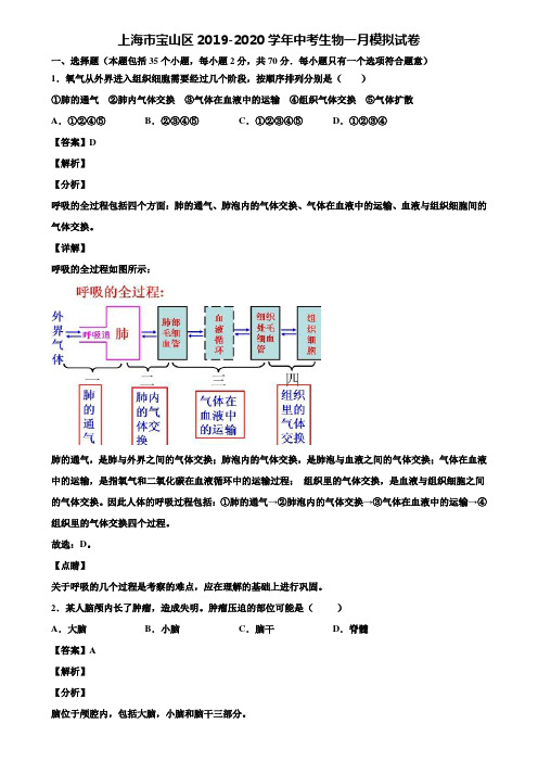 上海市宝山区2019-2020学年中考生物一月模拟试卷含解析