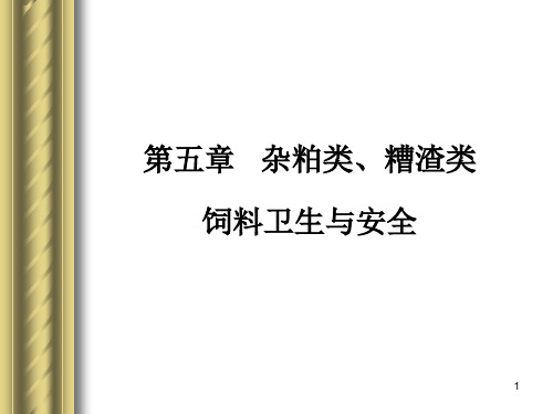 杂粕类、糟类饲料卫生与安全