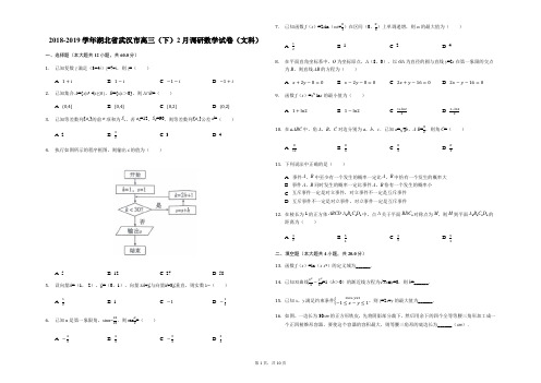 湖北省武汉市2019届高中毕业生二月调研测试文科数学(解析版)