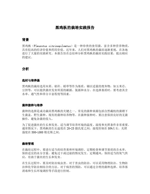 黑鸡枞的栽培实践报告