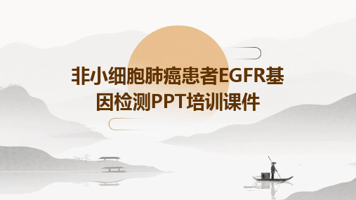 非小细胞肺癌患者EGFR基因检测PPT培训课件