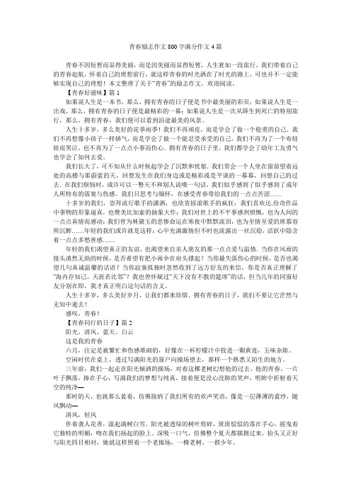 青春励志作文800字满分作文4篇