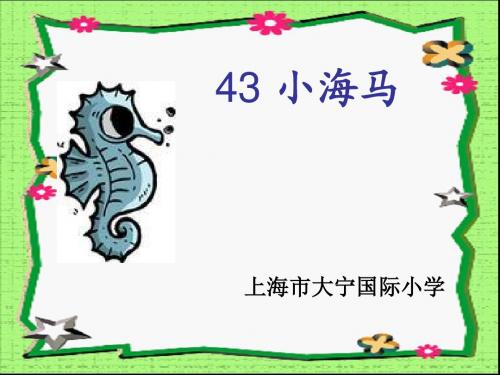 沪教版43 小海马