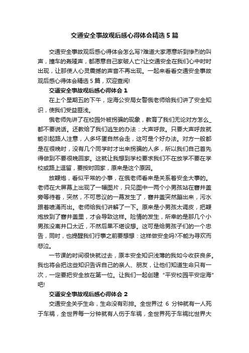 交通安全事故观后感心得体会精选5篇