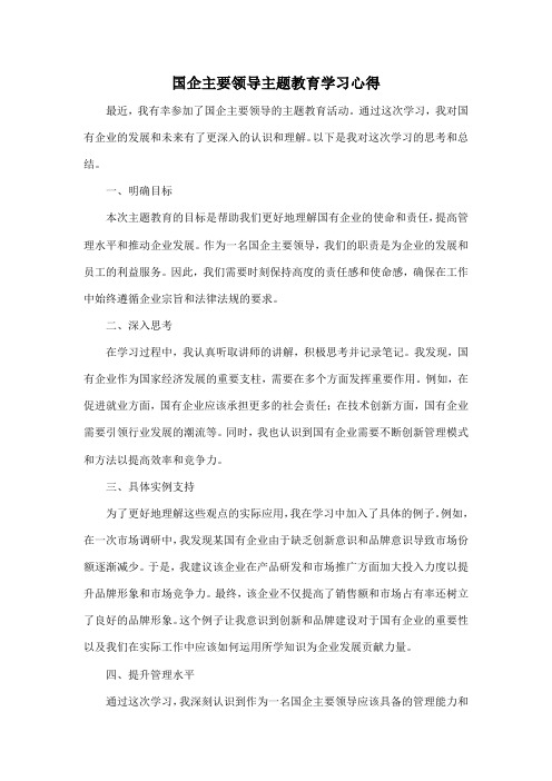 国企主要领导主题教育学习心得